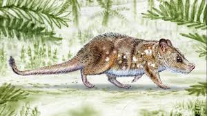 Meeti Kalher feet fetish - close-up shots