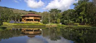 Ayahuasca is a powerful medicine made from plants found in the amazon. How I Found Healing With Chocolate Ayahuasca In Costa Rica