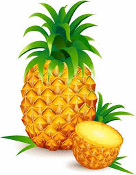 One and a half parts of anything that may be divided, or considered as divided. One And A Half Pineapple Free Vector In Adobe Illustrator Ai Ai Encapsulated Postscript Eps Eps Format For Free Download 2 03mb