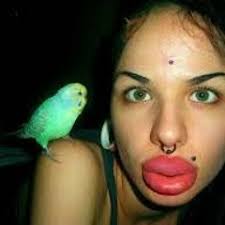 Stream Guido Gonzalez music