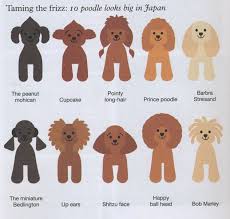 Japanese Grooming Dog Grooming Styles Poodle Hair Poodle Dog
