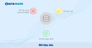 Các nguồn dữ liệu cho Data-Driven Business