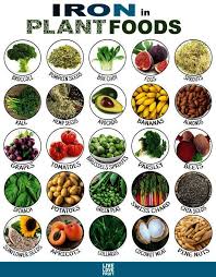 Nutrition Tips Most Nutrition Plan Excel Spreadsheet Amid Nutritional Yeast Sodium But Plan Nutrition National The In Foods With Iron Vegan Nutrition Nutrition