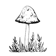 Black And White Mushroom Drawing Poisonous Mushroom At Grass Ink Pen Drawing Vintage Style Botanical Ink Pen Drawings Drawings Mushroom Drawing
