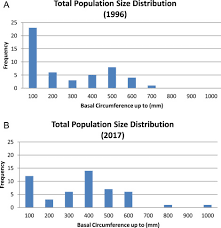 Image result for Ochna katangensis