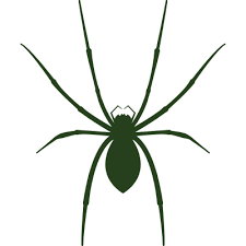 Orange pest control started because we wanted to offer best pest extermination products at a honest price. Spider Control Queen Creek San Tan Valley Mesa Chandler Gilbert Apache Junction Best Pest Control In San Tan Valley Peep S Pest Control