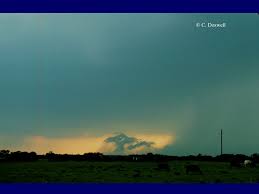 A severe localized downdraft from a thunderstorm or shower. Downbursts Downburst Microburst Definition A Downburst Is An Area Of Strong Often Damaging Winds Produced By A Convective Downdraft Over A Horizontal Ppt Download