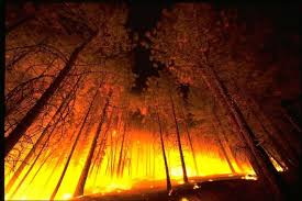 С начала пожароопасного сезона в Иркутской области произошёл 191 пожар |  ОБЩЕСТВО | АиФ Иркутск