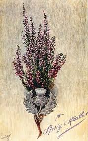 A Sprig O Heather Tuckdb Scottish Tattoos Scottish Thistle Tattoo Scottish Art