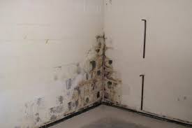 You can install a system like this yourself, but breaking out the concrete floor, burying the tubing, and patching the floor is a lot of backbreaking work. Diy Basement Leak Repair Fixing A Foundation Leak Yourself