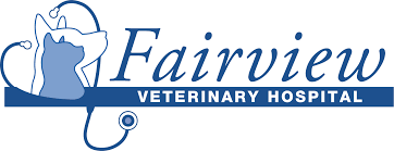 Hospital veterinary services physical rehabilitation pets veterinary animals preventive care books science. Fairport Ny 14450 Veterinarian Fairview Veterinary Hospital
