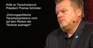 Was darf eine Katzenkastration für Tierschutzvereine künftig kosten?