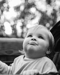 Ben Conley (@benconleyphoto) • Instagram photos and videos