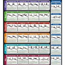 methodical weider ultimate body works workout chart weider