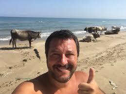 The perfect salvinispiaggiamare matteosalvini animated gif for your conversation. Matteo Salvini Piu Di 1 000 Controlli Con 1 154 Contestazioni E Piu Di 93 Mila Beni Sequestrati Per Un Valore Superiore Ai 600 Mila Euro Con 54 Comuni Coinvolti 174 Assunzioni A