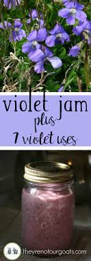 This barely tastes of violets at all. Violet Jam A Recipe Round Up They Re Not Our Goats