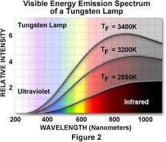 Photomicrography Color Temperature Olympus Life Science