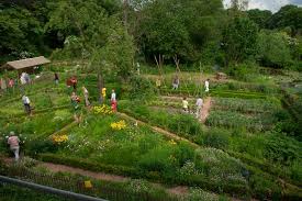 We did not find results for: Garten Wissen Vhs Biogarten Thurner Hof
