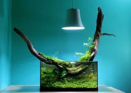 Aquascape Aquarium Design Ideas 25