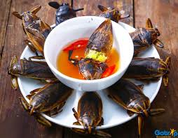 Gia Vị Việt - Gia Vị Việt Hiệp