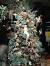 Beach Themed White Christmas Tree