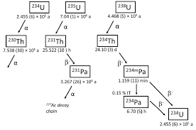 From uranium 238 to lead 206 this diagram maps the journey on a nucleus map of the uranium 238 decay chain. Decay Chain Of The Natural Uranium Isotopes 234 U 235 U And 238 U Download Scientific Diagram