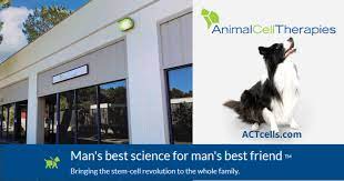 On the street of sorrento valley road and street number is 11211. Animal Cell Therapies Inc