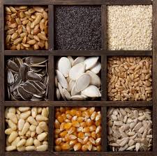 So do not be afraid to take advantage of the opportunity. The Most Valuable Seeds In The World What Do We Really Know About Their Health Benefits Seed Storage Edible Seeds How To Store Seeds