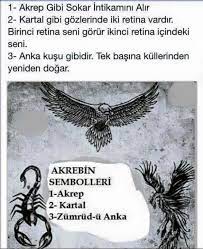 teacher g adli kullanicinin akrep burcu panosundaki pin akrep akrep burcu burclar