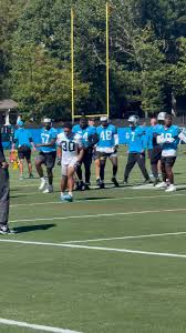 Image result for Hubbardochloa