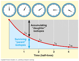One reference on radiometric dating lists an entire array of corrective factors for the change in atmospheric c14 over time. Radiometric Dating And Radioactive Decay Quiz Quizizz
