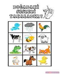 Dogadaki Sesleri Yakaladim 2020 Ses Doga Egitim