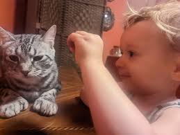 Stu interacting with Moxxie he has a very good relationship with Max  Moxxies little brother who's part incubi he taught him how to fly and is  Max's "favorite uncle"