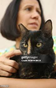 220 Jennifer Steele Stock Photos, High-Res Pictures, and Images