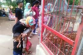Jalan perumnas, desa paya bujok seulemak, langsa baro. Sehari Di Hutan Lindung Kota Langsa Halaman All Kompas Com