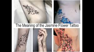 Hand drawn blossoming jasmine branch isolated on white background. The Meaning Of The Jasmine Flower Tattoo Sense History Photo Sketches Facts