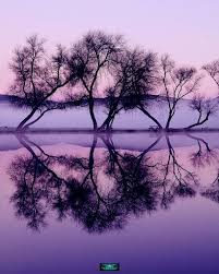 Twilight Reflection Reflection Photography Beautiful Nature Water Reflections
