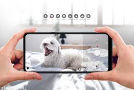 LG K51S Smartphone | LMK510ZMW
