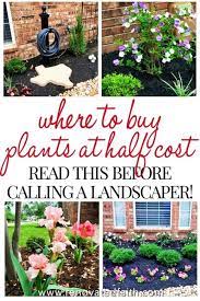 31 Simple Landscaping Ideas For The Front Of Your House On A Budget Yard Landscaping Simple Front Yard Landscaping Simple Cheap Landscaping Ideas