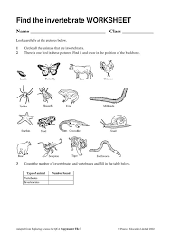Art On Pinterest School Worksheets Anemone Wedding Bouquet And Science Worksheets Vertebrates And Invertebrates Animal Classification Worksheet