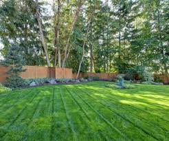 Image result for hydroseeding