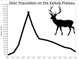 The kaibab indian reservation is the home of the kaibab band of paiute indians, a federally recognized tribe of southern paiutes. The Lesson Of The Kaibab