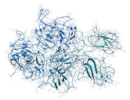 Controlled Amino Acid Therapy And Cancer Cancer Therapy