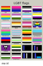 Love & friendship lgbtq lgbt pride pride flags lesbian. Lgbt Flags Gay Bisexual Asexual Gender Fluid Pansexual Genderqueer Transgender Non Binary Intersexual Bear Lipstick Lesbian Straight Ally Polysexual Transsexual Aromantic Autosexual Polyamorous Agender Lithsexual Trigender Lesbian Skoliosexual