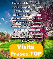 Madre mía, tu silencio me confunde, me aturde te pido una palabraque tienda a mi alma el saber la palabra de oro que despierte y encienda mis pensamientos que aleje el misterio necesito sentirlas aquellas que divulgan la verdad, los sentimientos esas que. Realizar Un Poema Sobre La Madre Tierra
