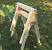Sawhorse Brackets