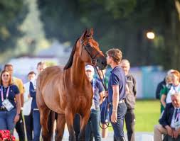 Karl Cook Replaces Kent Farrington at Olympics