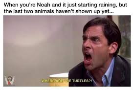 Where Are The Turtles Funny Girlfriend Memes Funny Christian Memes Funny Church Memes