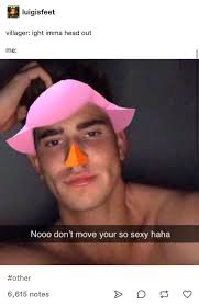 Pin By Tam On Animal Crossing Animal Crossing Haha Yandere