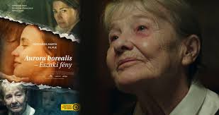 Egerben az angolkisasszonyoknál tanult, majd egy fővárosi közgazdasági gimnáziumba iratkozott be. In Memoriam Torocsik Mari Aurora Borealis Eszaki Feny